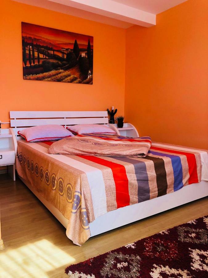 Pensiunea Casa Domnitei 巴亚德菲耶尔 外观 照片