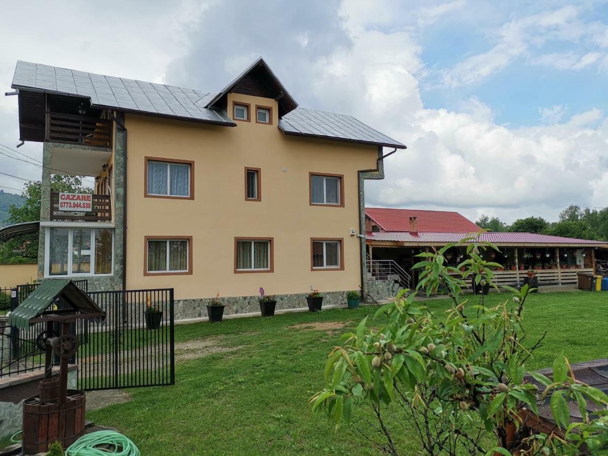 Pensiunea Casa Domnitei 巴亚德菲耶尔 外观 照片