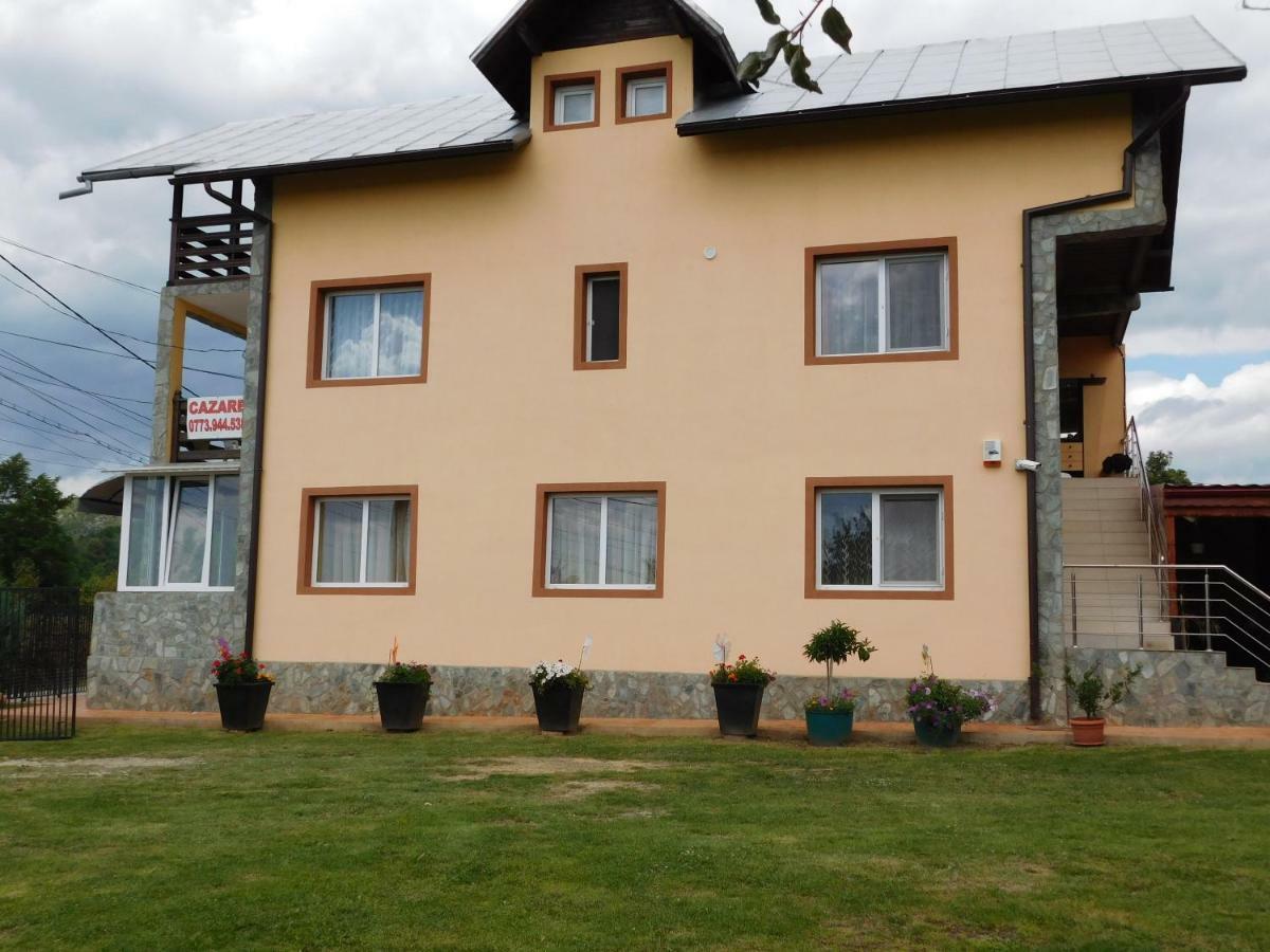 Pensiunea Casa Domnitei 巴亚德菲耶尔 外观 照片