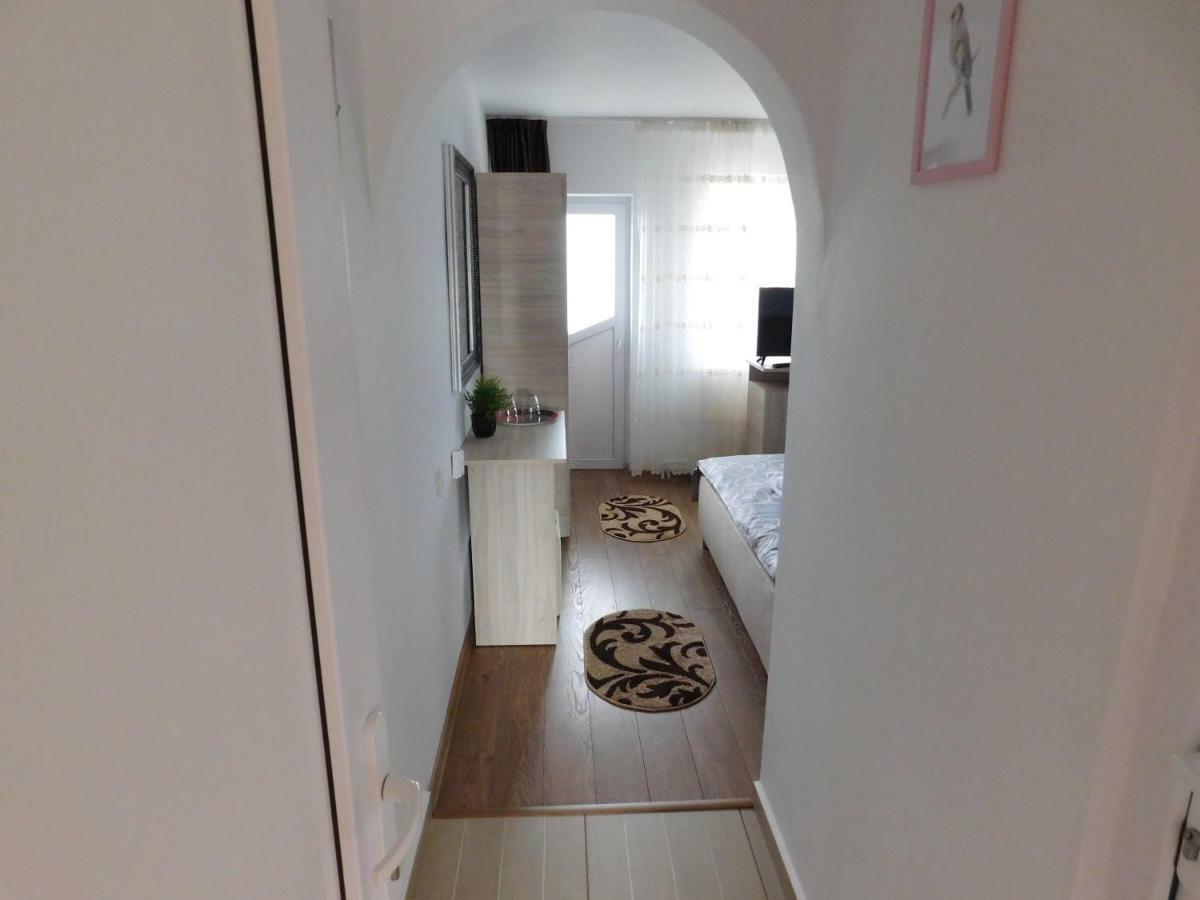 Pensiunea Casa Domnitei 巴亚德菲耶尔 外观 照片