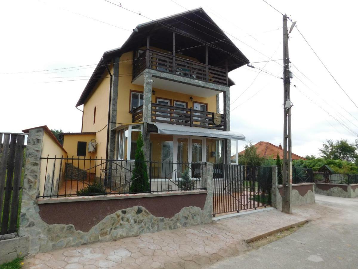 Pensiunea Casa Domnitei 巴亚德菲耶尔 外观 照片