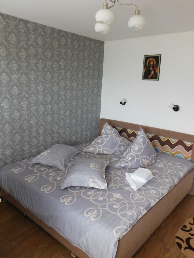 Pensiunea Casa Domnitei 巴亚德菲耶尔 外观 照片