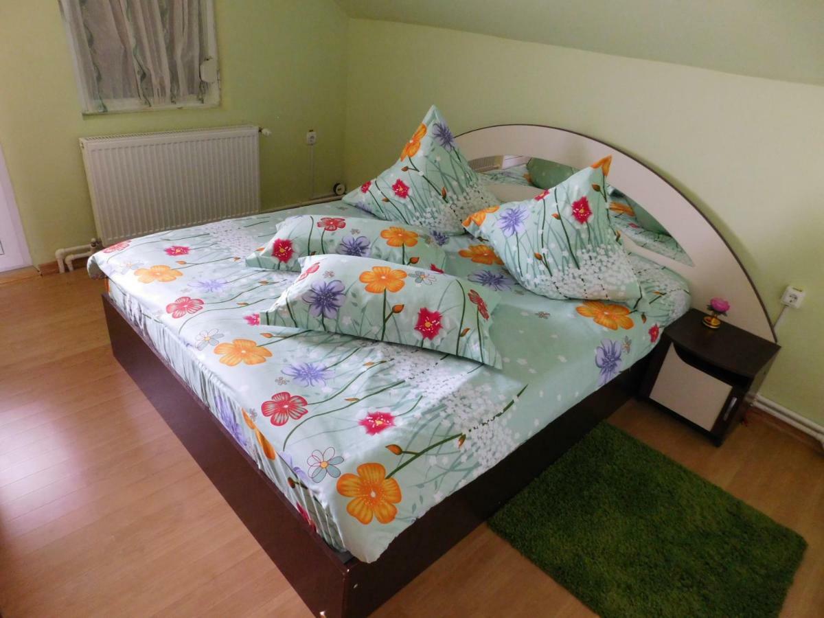 Pensiunea Casa Domnitei 巴亚德菲耶尔 外观 照片